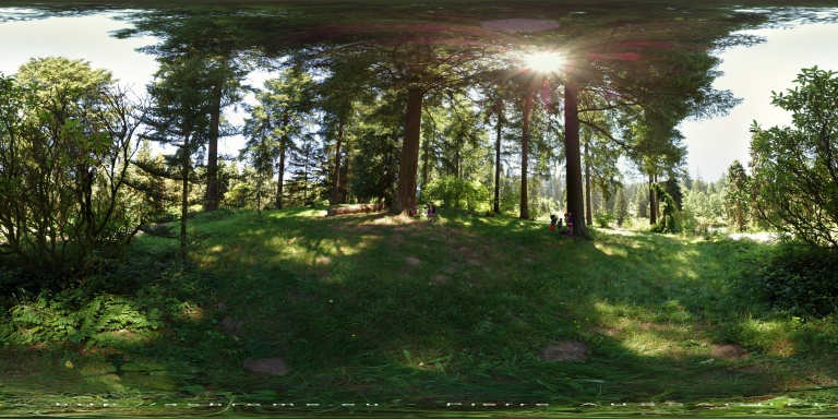 360-Hoyt arboretum park-Portland-Oregon