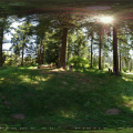 360-Hoyt arboretum park-Portland-Oregon
