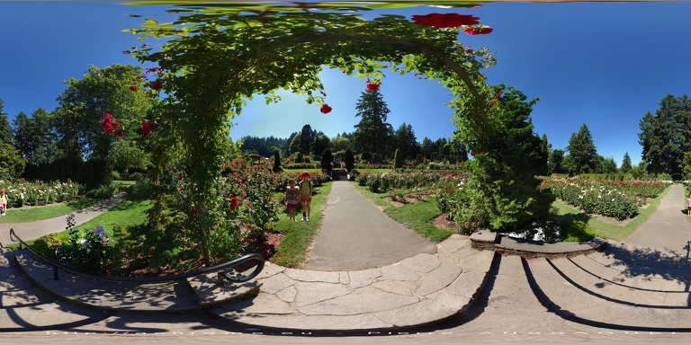 360-Roses Garden2-Portland-Oregon