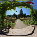 360-Roses Garden2-Portland-Oregon