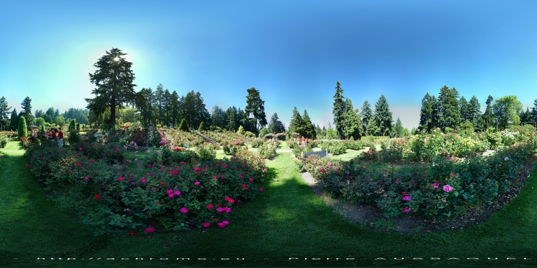 360 Roses-Garden1 Portland Oregon