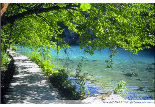 croatie plitvice 04 (300 visits) croatie plitvice 04