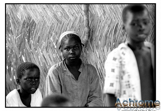 cameroun p4 29 (82 visites) cameroun p4 29