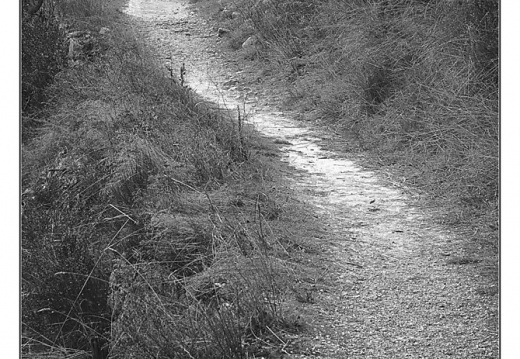 DSC05628-005 (67 visites) DSC05628-005