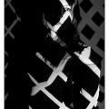 D4S 09763